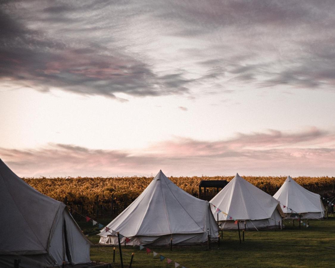 Coonawarra Bush Holiday Park المظهر الخارجي الصورة