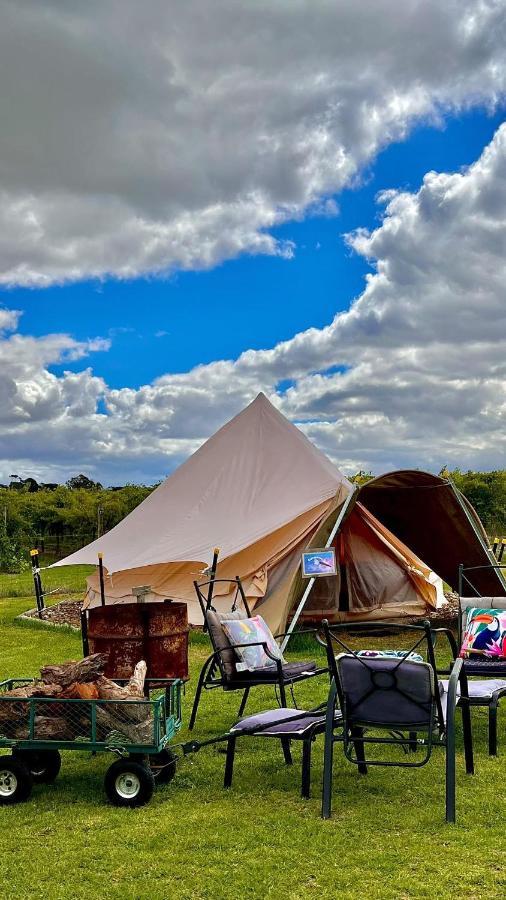 Coonawarra Bush Holiday Park المظهر الخارجي الصورة