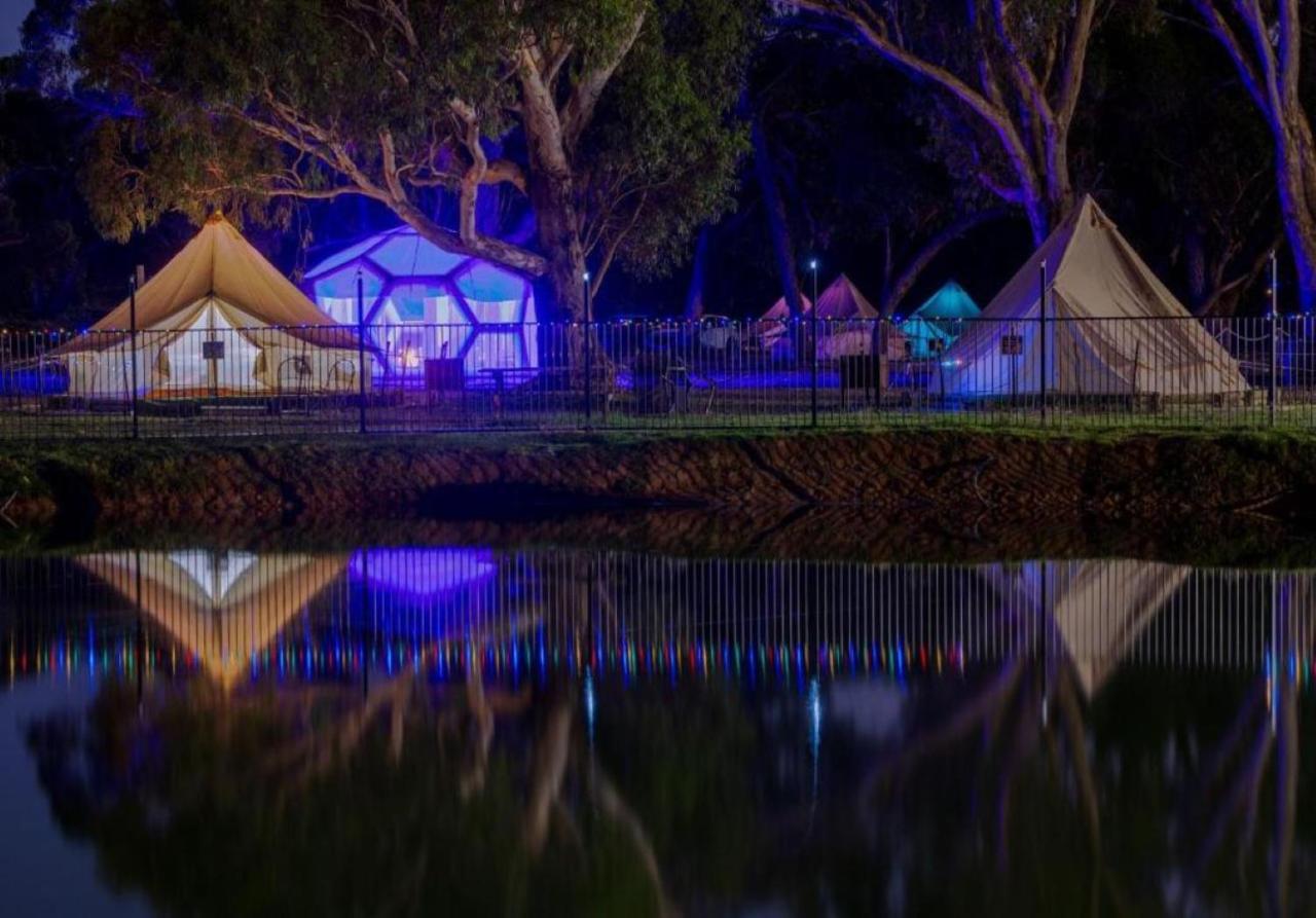 Coonawarra Bush Holiday Park المظهر الخارجي الصورة