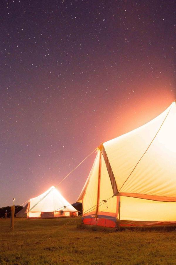 Coonawarra Bush Holiday Park المظهر الخارجي الصورة